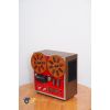 Đầu băng cối tự hành AKAI 1721